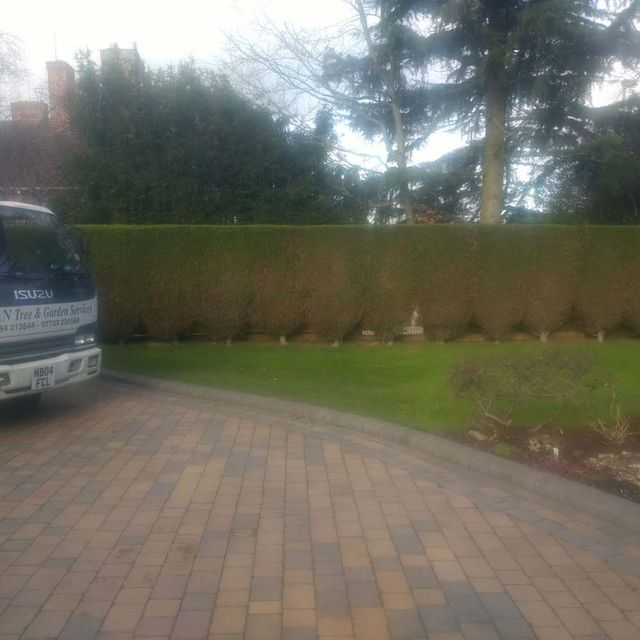 Hedge Trimming After