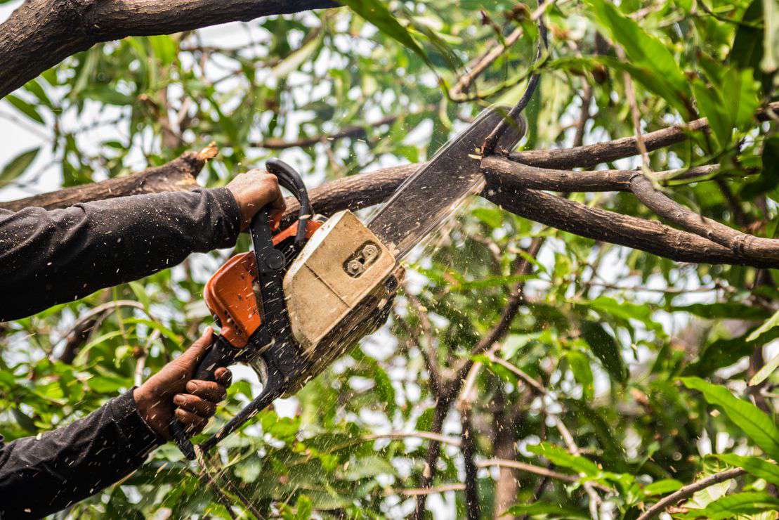 Tree Surgery in Wombourne - Tree Surgeon using a chainsaw