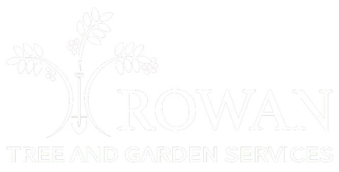 rowan tree surgery logo