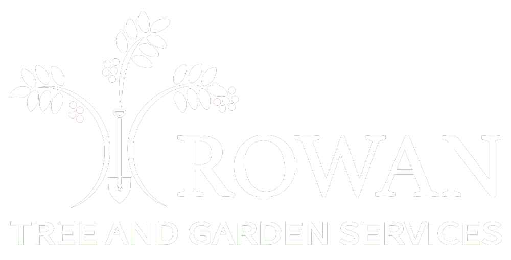 rowan tree surgery logo