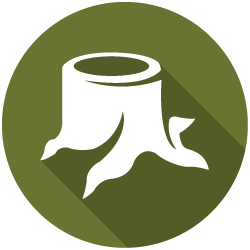 site clearance icon
