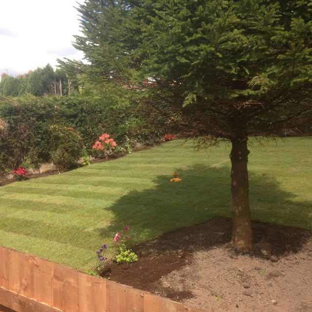 Landscaping After 2