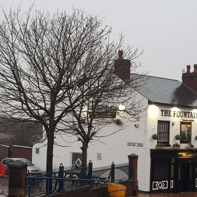 Fountain Inn Tree Felling Before