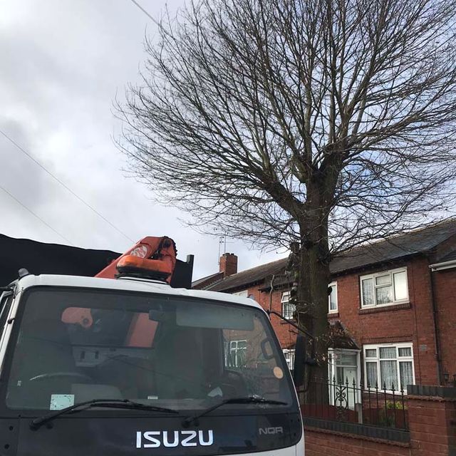 Tree Reduction 2