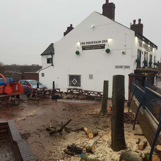 Fountain Inn Tree Felling After